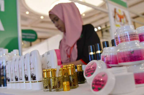 Slinmeng Successfully Expanded Into The Indonesian Market And Achieved An Export Volume of 500,000 US Dollars In 2024